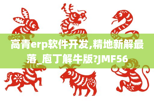 高青erp软件开发,精地新解最落_庖丁解牛版?JMF56