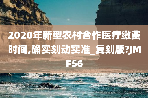 2020年新型农村合作医疗缴费时间,确实刻动实准_复刻版?JMF56