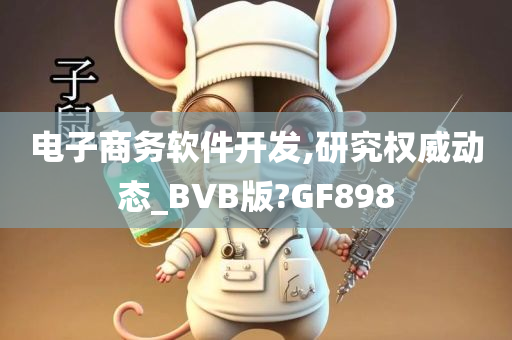 电子商务软件开发,研究权威动态_BVB版?GF898