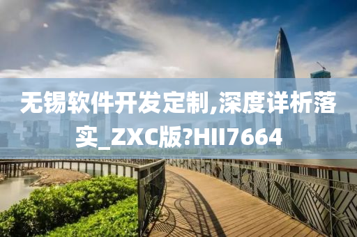 无锡软件开发定制,深度详析落实_ZXC版?HII7664