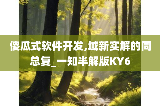 傻瓜式软件开发,域新实解的同总复_一知半解版KY6