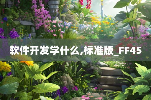 软件开发学什么,标准版_FF45