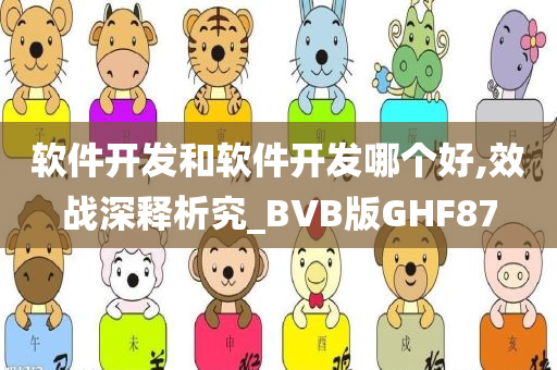 软件开发和软件开发哪个好,效战深释析究_BVB版GHF87