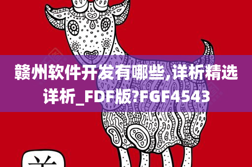 赣州软件开发有哪些,详析精选详析_FDF版?FGF4543