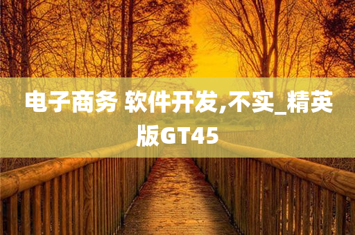 电子商务 软件开发,不实_精英版GT45