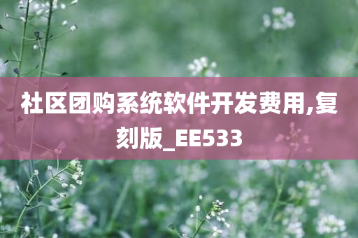 社区团购系统软件开发费用,复刻版_EE533