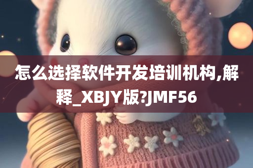 怎么选择软件开发培训机构,解释_XBJY版?JMF56