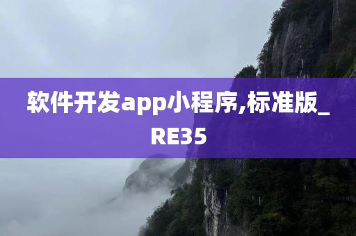 软件开发app小程序,标准版_RE35