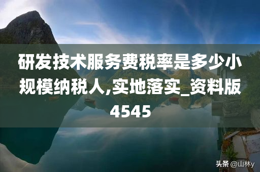 研发技术服务费税率是多少小规模纳税人,实地落实_资料版4545