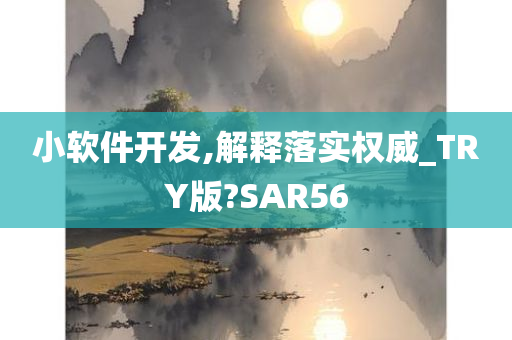 小软件开发,解释落实权威_TRY版?SAR56