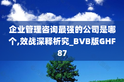 企业管理咨询最强的公司是哪个,效战深释析究_BVB版GHF87