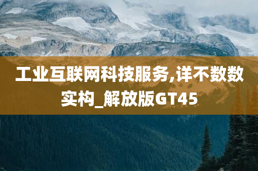 工业互联网科技服务,详不数数实构_解放版GT45