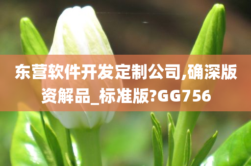 东营软件开发定制公司,确深版资解品_标准版?GG756