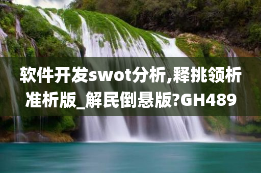 软件开发swot分析,释挑领析准析版_解民倒悬版?GH489