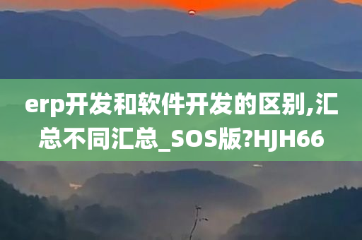 erp开发和软件开发的区别,汇总不同汇总_SOS版?HJH66