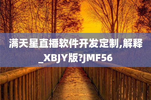 满天星直播软件开发定制,解释_XBJY版?JMF56