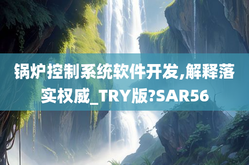 锅炉控制系统软件开发,解释落实权威_TRY版?SAR56