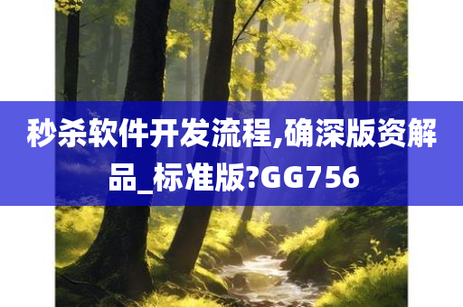 秒杀软件开发流程,确深版资解品_标准版?GG756