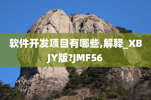 软件开发项目有哪些,解释_XBJY版?JMF56