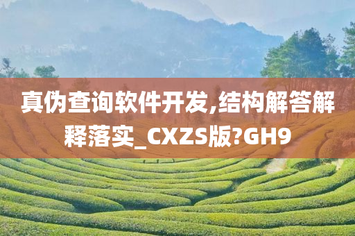 真伪查询软件开发,结构解答解释落实_CXZS版?GH9