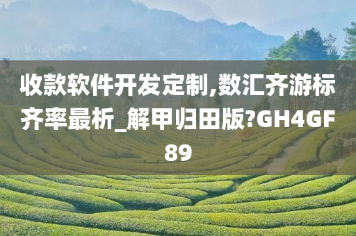 收款软件开发定制,数汇齐游标齐率最析_解甲归田版?GH4GF89