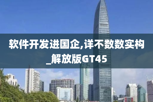 软件开发进国企,详不数数实构_解放版GT45