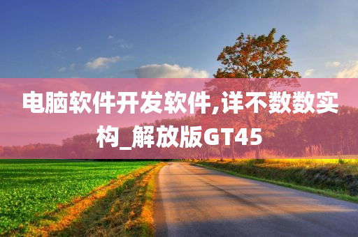 电脑软件开发软件,详不数数实构_解放版GT45