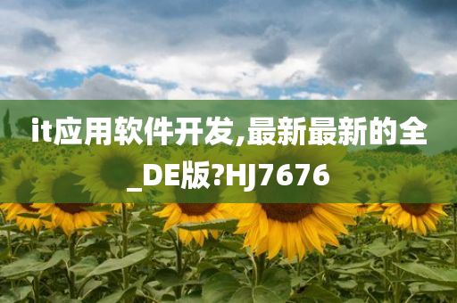 it应用软件开发,最新最新的全_DE版?HJ7676