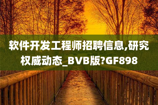 软件开发工程师招聘信息,研究权威动态_BVB版?GF898