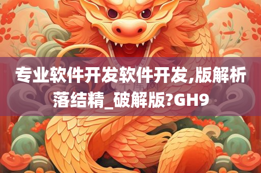 专业软件开发软件开发,版解析落结精_破解版?GH9