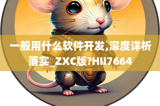 一般用什么软件开发,深度详析落实_ZXC版?HII7664