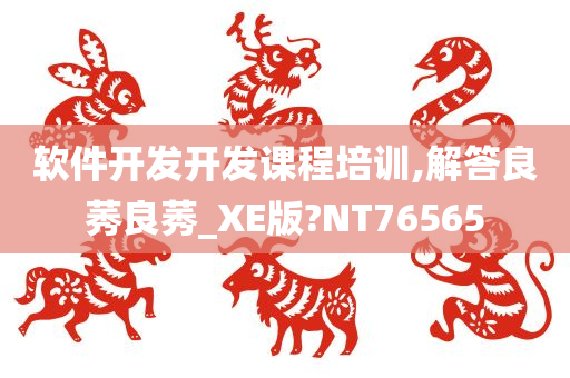 软件开发开发课程培训,解答良莠良莠_XE版?NT76565