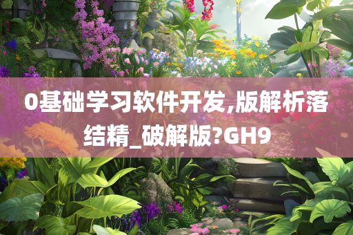 0基础学习软件开发,版解析落结精_破解版?GH9