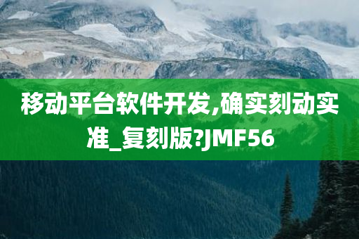 移动平台软件开发,确实刻动实准_复刻版?JMF56