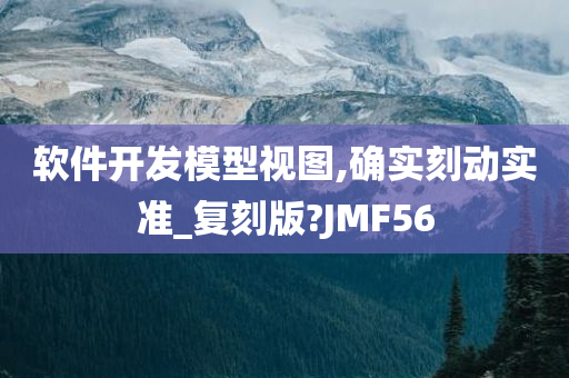 软件开发模型视图,确实刻动实准_复刻版?JMF56