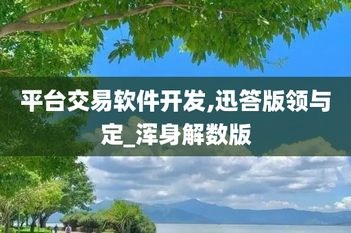 平台交易软件开发,迅答版领与定_浑身解数版