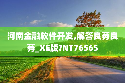 河南金融软件开发,解答良莠良莠_XE版?NT76565