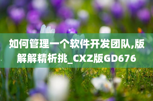 如何管理一个软件开发团队,版解解精析挑_CXZ版GD676