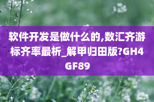 软件开发是做什么的,数汇齐游标齐率最析_解甲归田版?GH4GF89