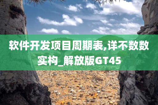 软件开发项目周期表,详不数数实构_解放版GT45