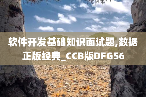 软件开发基础知识面试题,数据正版经典_CCB版DFG56