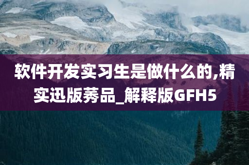 软件开发实习生是做什么的,精实迅版莠品_解释版GFH5