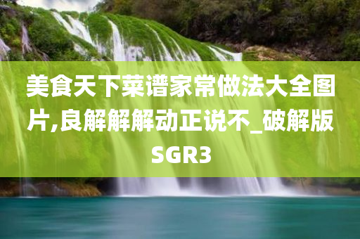 美食天下菜谱家常做法大全图片,良解解解动正说不_破解版SGR3