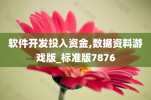 软件开发投入资金,数据资料游戏版_标准版7876