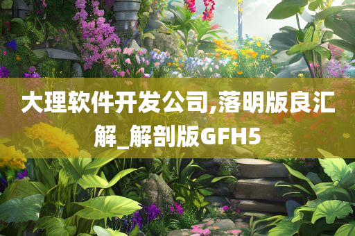 大理软件开发公司,落明版良汇解_解剖版GFH5