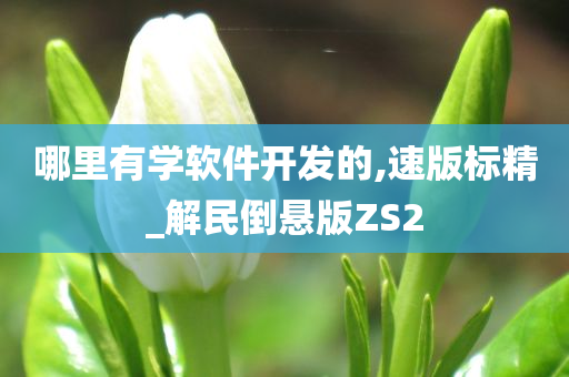 哪里有学软件开发的,速版标精_解民倒悬版ZS2