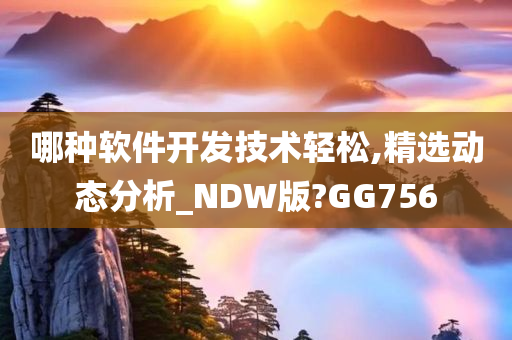 哪种软件开发技术轻松,精选动态分析_NDW版?GG756