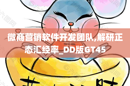 微商营销软件开发团队,解研正态汇经率_DD版GT45