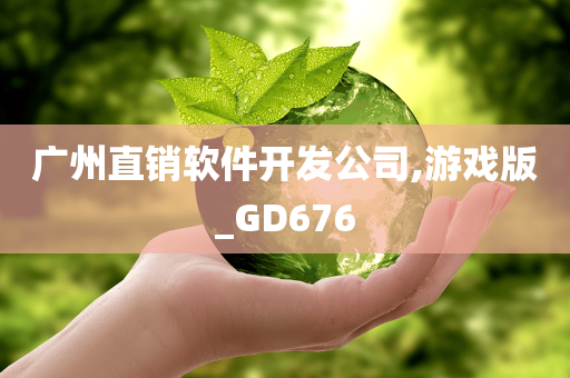 广州直销软件开发公司,游戏版_GD676