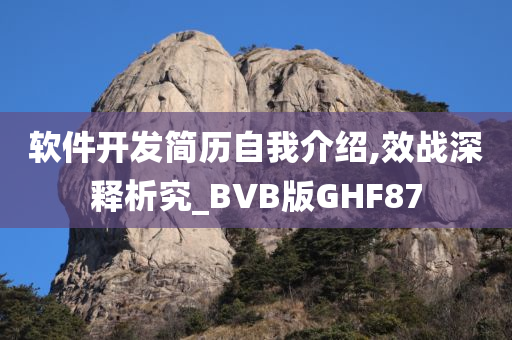 软件开发简历自我介绍,效战深释析究_BVB版GHF87